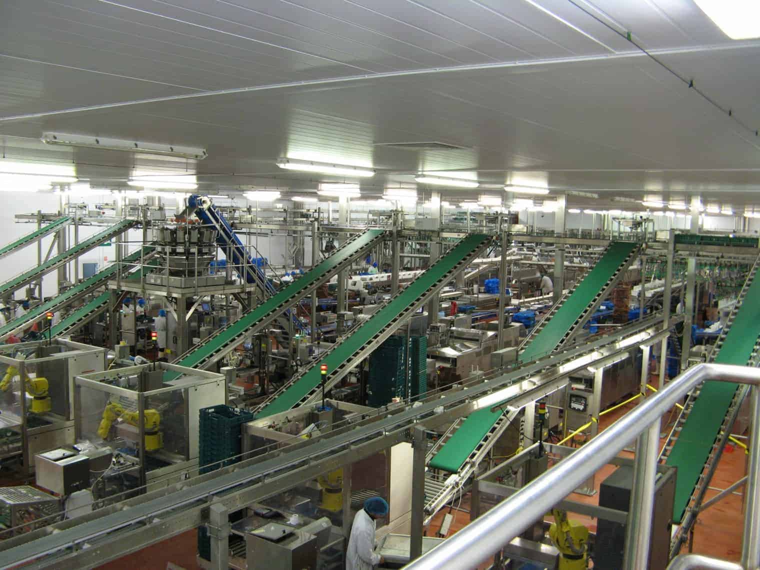 Conveyor System Design Food Processing Conveyors Conveyor Suppliers