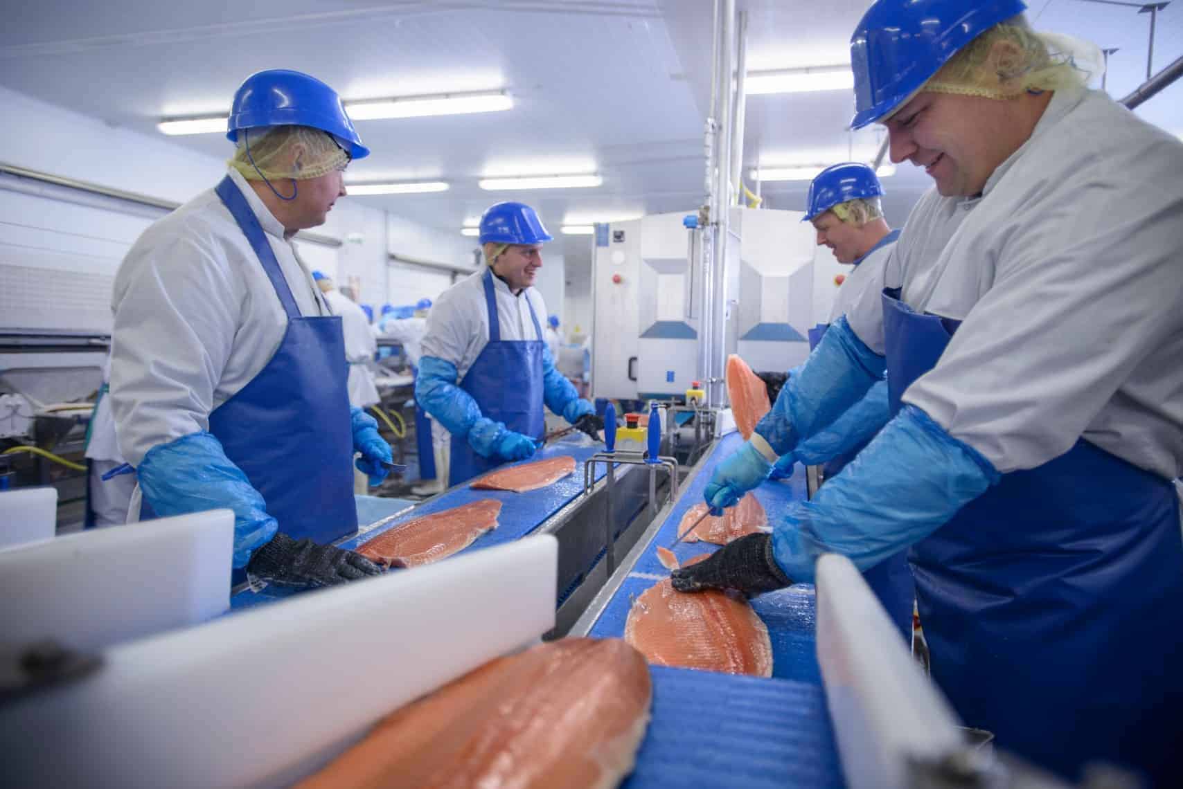 Seafood Processing conveyor system Wrightfield