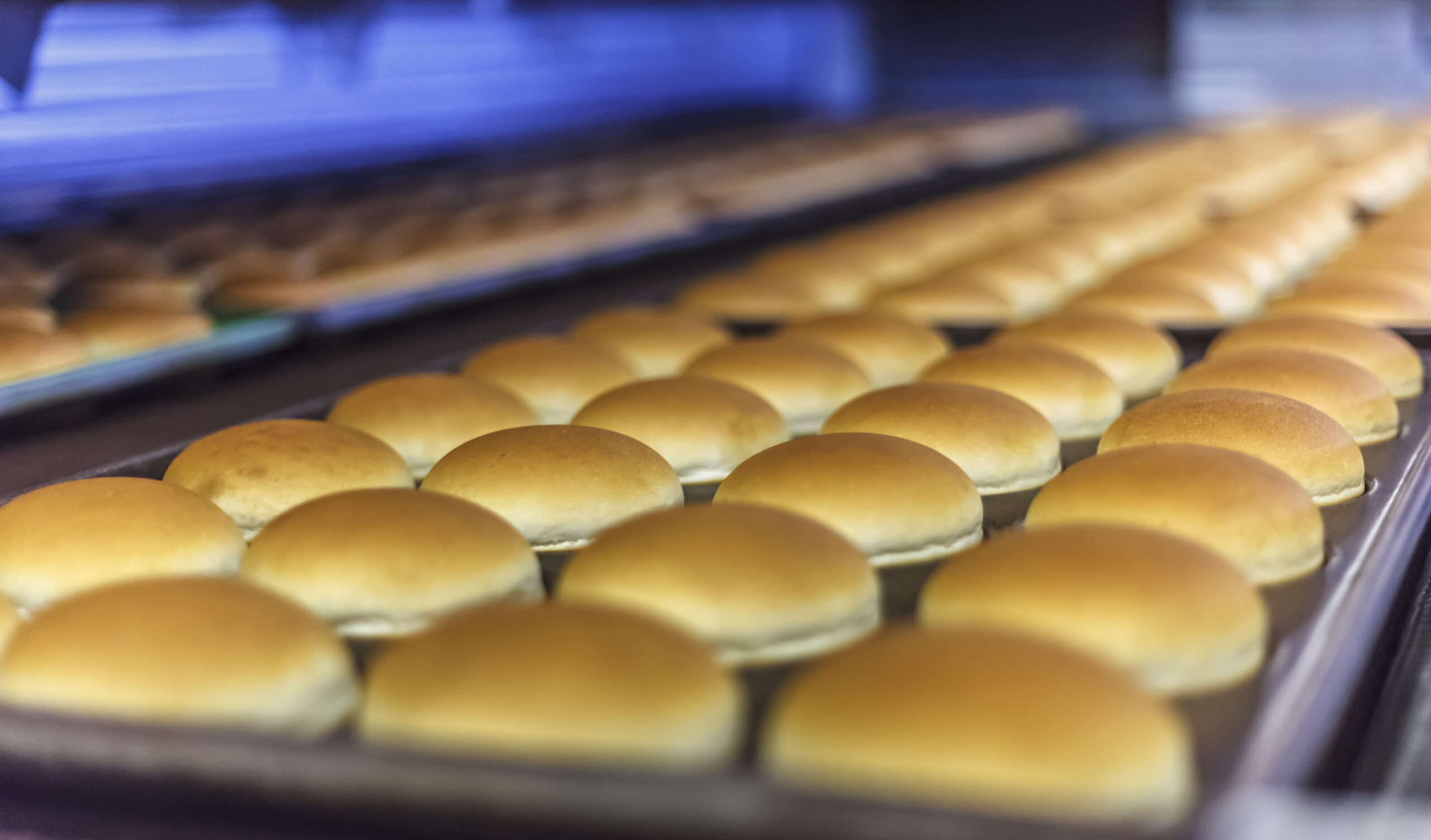 bakery weighing automated systems Wrightfield conveyors