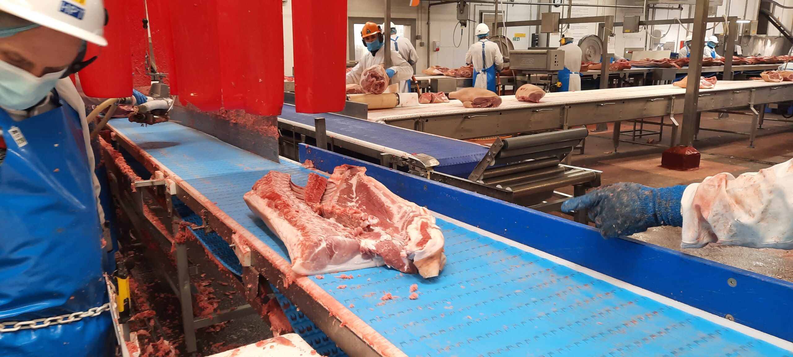 Conveyor Systems Thetford deboning meat flat belt conveyors Wrightfield