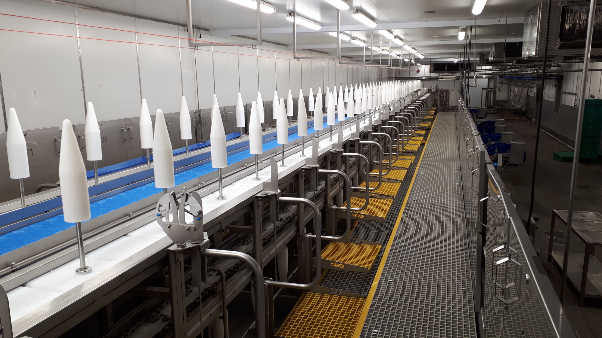 Turkey Processing Equipment Conveyor Systems turkey cone debone line wrightfield conveyors