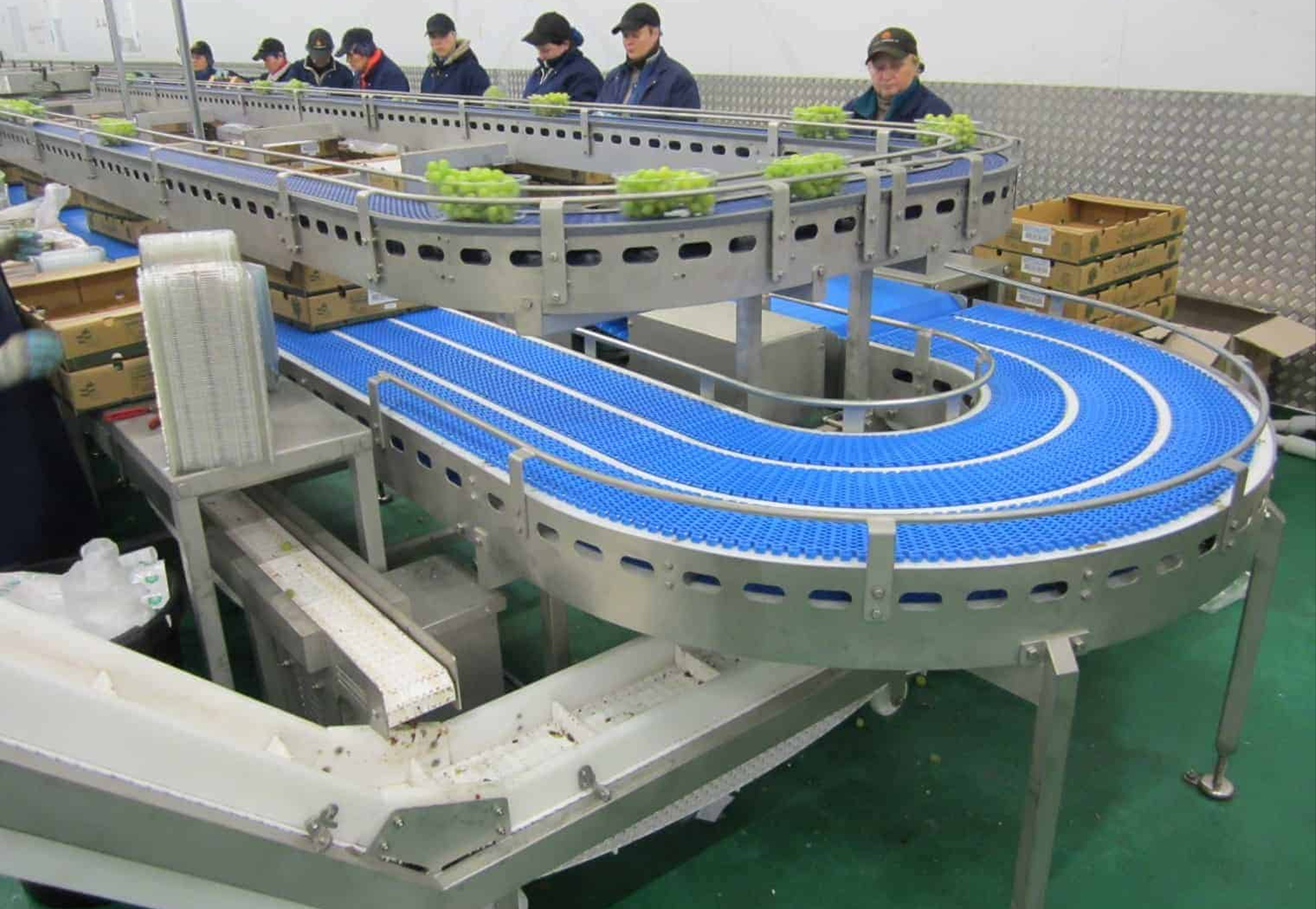 conveyor belt type Wrightfield Conveyor Systems