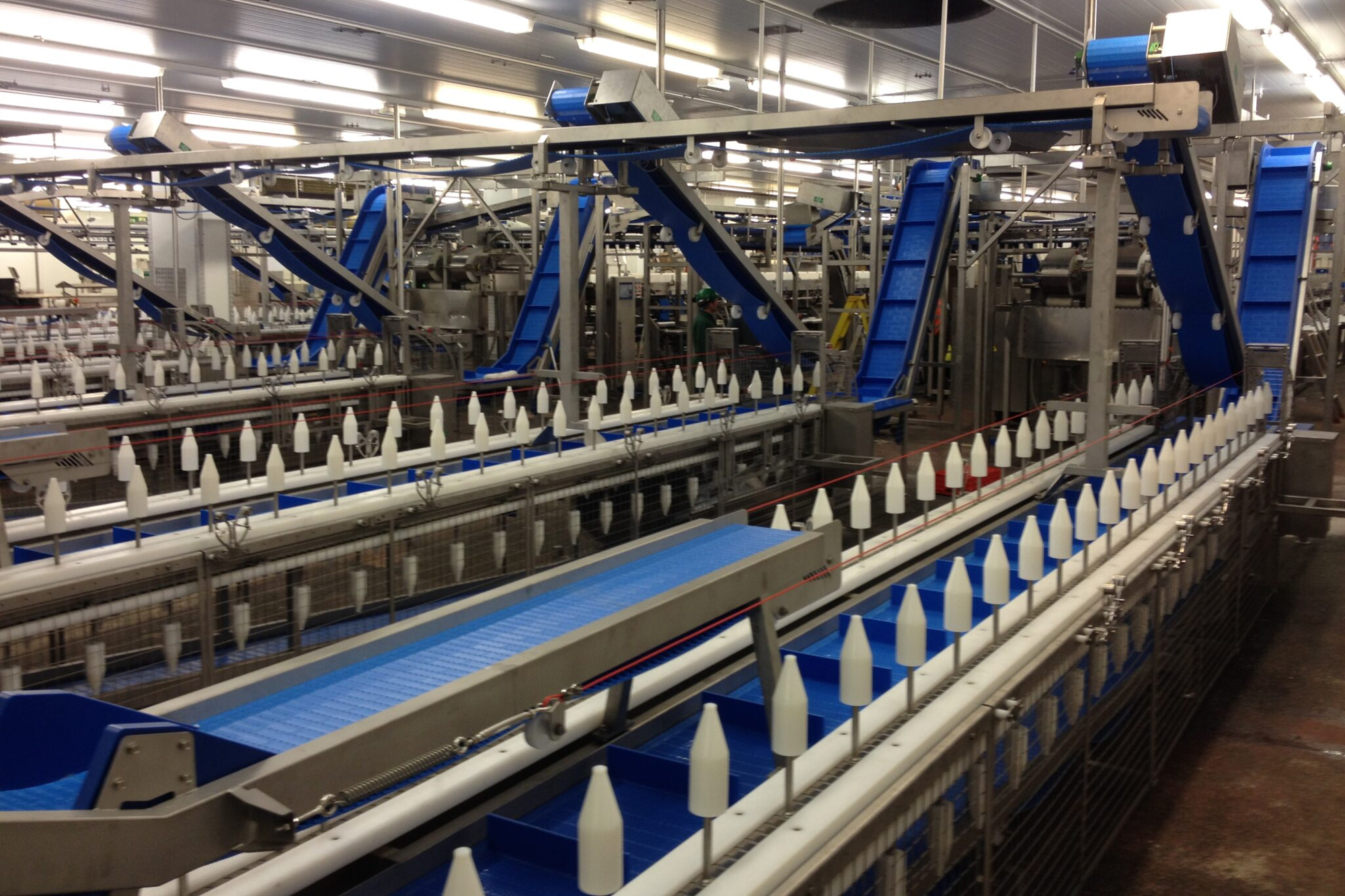 Conveyor Systems Lincolnshire Wrightfield design, manufacture and install