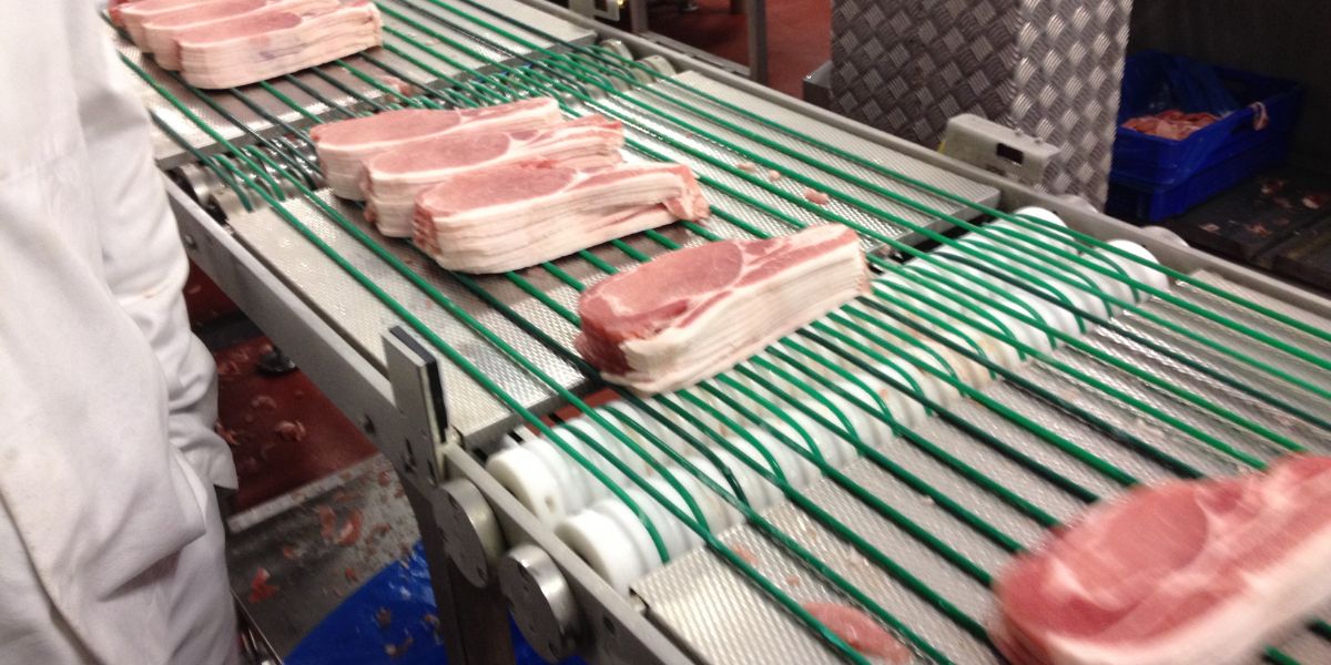 bacon conveyor system