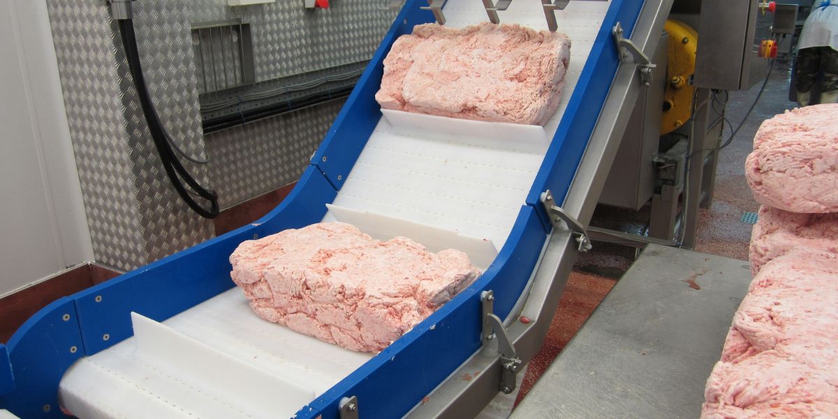 frozen block poultry on elevator conveyor